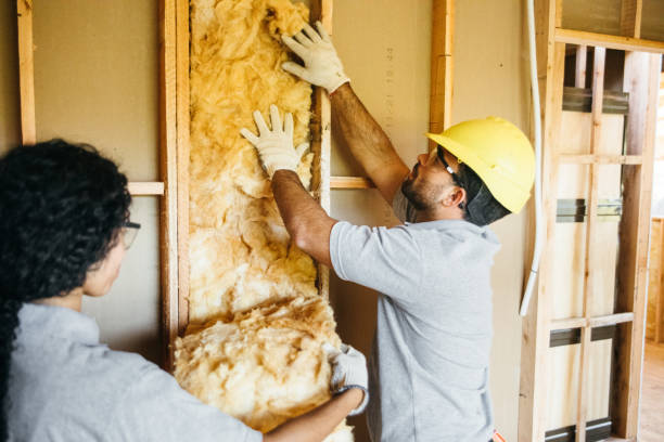 Reliable Carthage, NC Insulation Installation & Removal Solutions